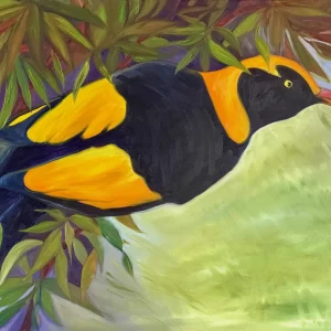 Regent Bowerbird