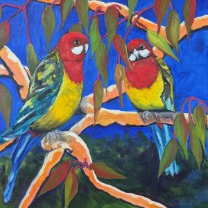 A pair of Eastern Rosellas