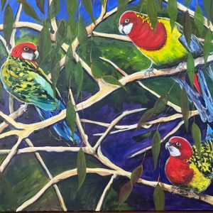 A trio of Eastern Rosellas